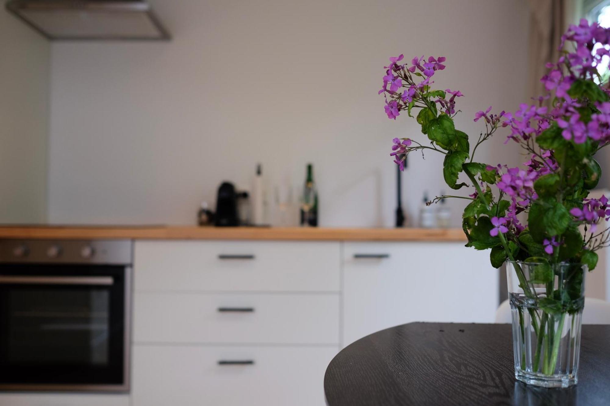 Beach Lodge 24 - Noordwijk Aan Zee - Met Eigen Tuin מראה חיצוני תמונה